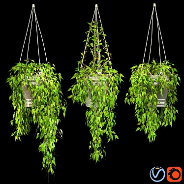 Modern Pendant Plant - 3Dmax FBX OBJ 3D model image 1 