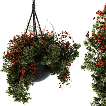 Hanging Pot Set 102: Elevated Elegance 3D model image 1 