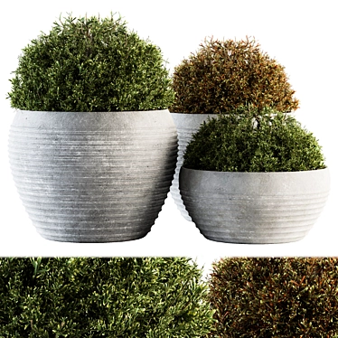 Greenery Bliss: Set of 106 Outdoor Topiary Balls 3D model image 1 