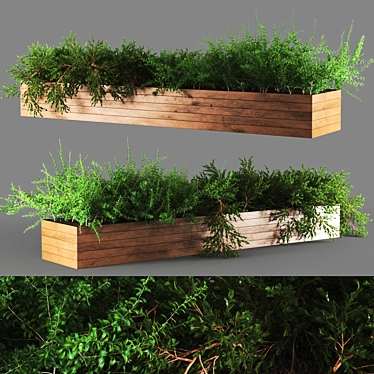 Botanical Essence: Exquisite 667k Poly Plant 3D model image 1 