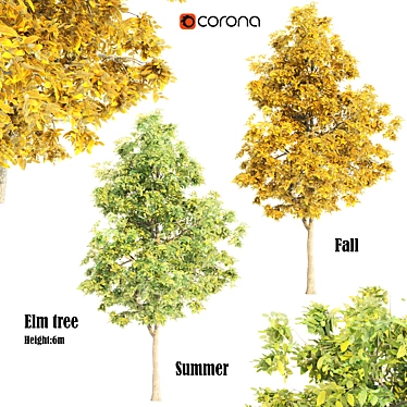 Elm Tree Beauty for All Seasons 3D model image 1 