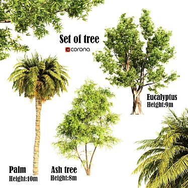 Triple Tree Set: Eucalyptus, Palm & Ash 3D model image 1 