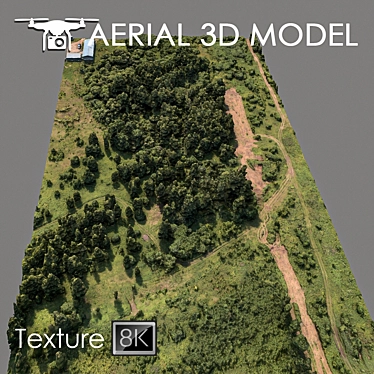 Aerial Landscape Model: Forest 75 3D model image 1 