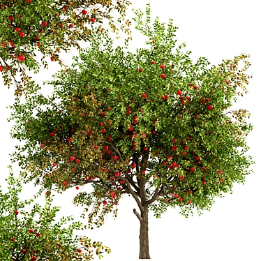 Dual Apple Tree Set 3D model image 1 