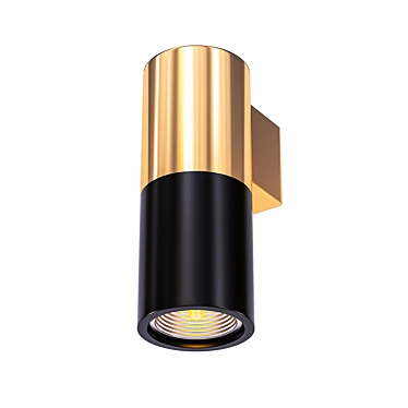 Black Copper Spot Sconce 3D model image 1 