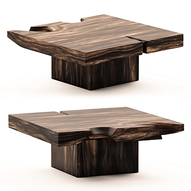 Natural Beauty: Suar Wood Coffee Table 3D model image 1 