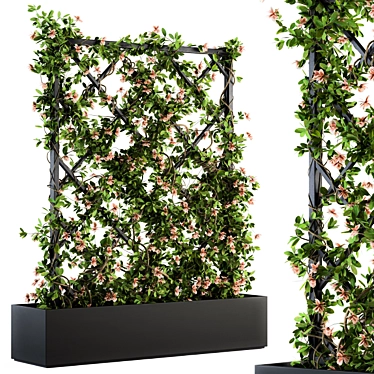 Outdoor Ivy on Grid - 118 3D model image 1 