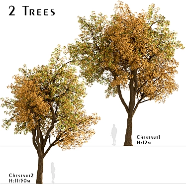 Temperate Chestnut Tree Duo 3D model image 1 