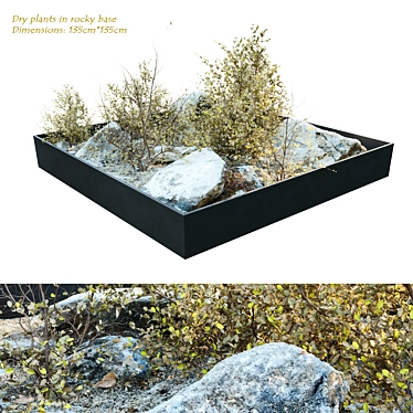 Rocky Base Dry Plants Sculpture 3D model image 1 