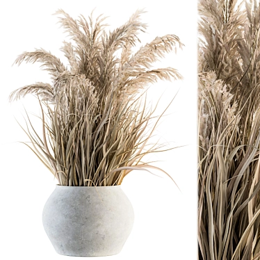 Botanical Bliss: Indoor Dried Plant Set 3D model image 1 