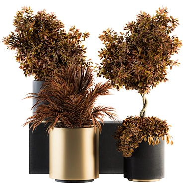 Elegant Black and Gold Indoor Plant set 3D model image 1 