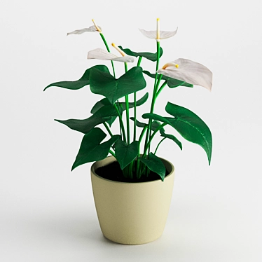 Tropical Beauty: Anthurium Plant 3D model image 1 