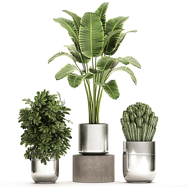 Tropical Chrome Plant Collection 3D model image 1 