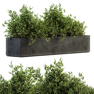 Concrete Box Outdoor Tree Set 3D model image 1 