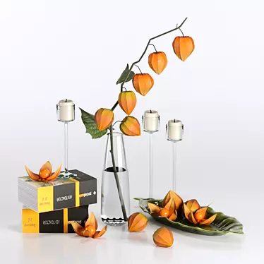 Elegant Physalis Decor Set 3D model image 1 