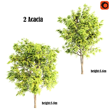 Acacia Polygon Set: 678,942 & 505,984 3D model image 1 