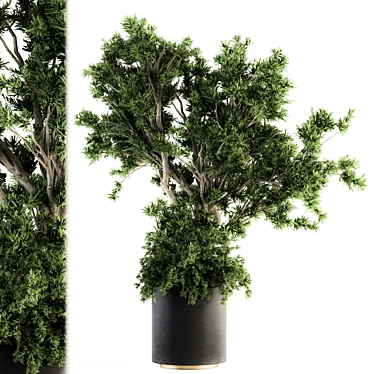 Concrete Pot Outdoor Tree Set 3D model image 1 