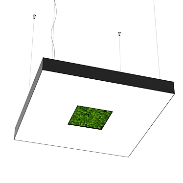 Small OM Bone Light Square 3D model image 1 