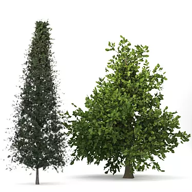 Orange Cypress Trees: Vray-Rendered 3D Models 3D model image 1 