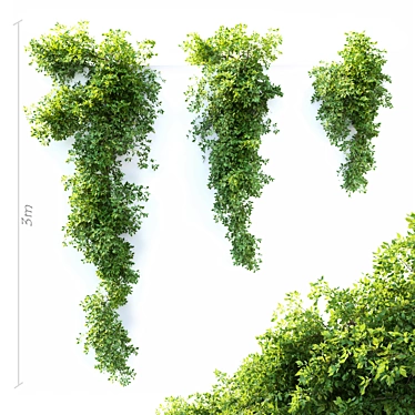  Hanging Plant Trio: 3m Height 3D model image 1 