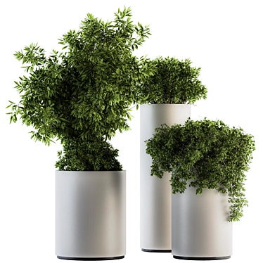 Green and White Indoor Plant Set 3D model image 1 