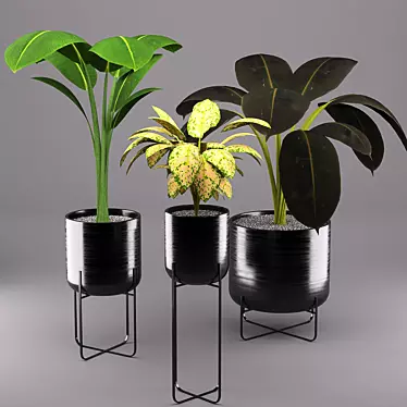 Modern Black Pot Trio 3D model image 1 