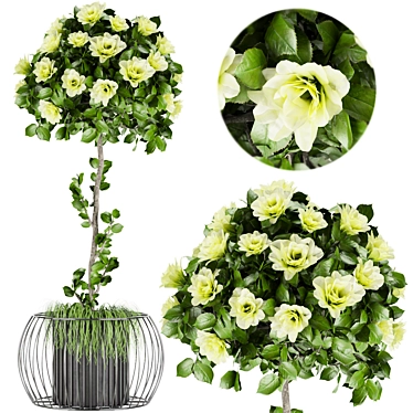 Elevate Your Space with Collection Plant Vol. 37 3D model image 1 