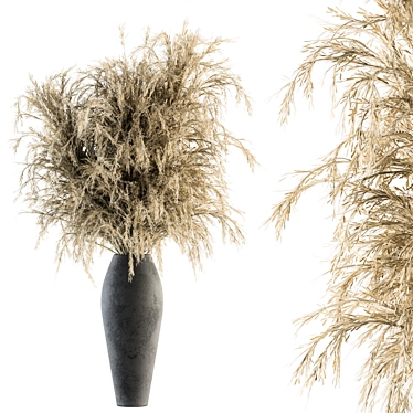 55 Pampas Dry Plant Bouquet 3D model image 1 