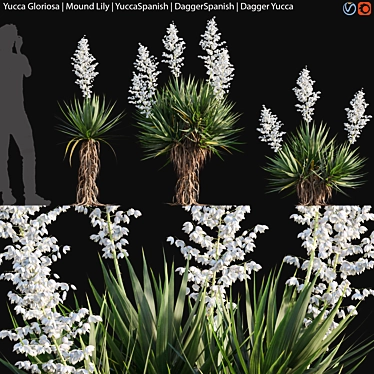 Yucca Gloriosa - Ornamental Mound of Beauty 3D model image 1 