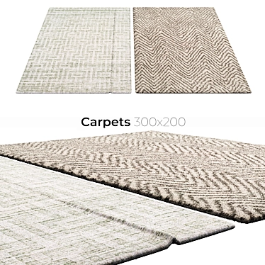 Stylish Home Carpets 3D model image 1 