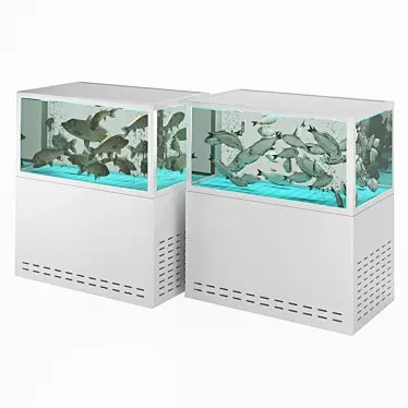 Aquarium with fish