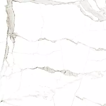 Carrara Bianco Veneer Panels 3D model image 1 