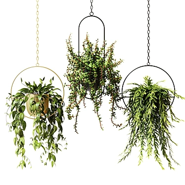 Hanging Planter Set: Cascading Ampel Plants 3D model image 1 