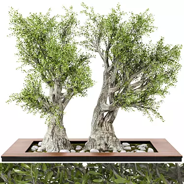3D Garden Set Tree - Outdoor Plants 3D model image 1 
