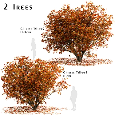 Chinese Tallow Tree Set: Spectacular Fall Colors 3D model image 1 