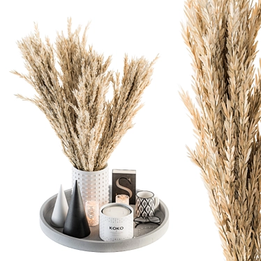 Boho Bliss Dried Plants & Pampas 3D model image 1 