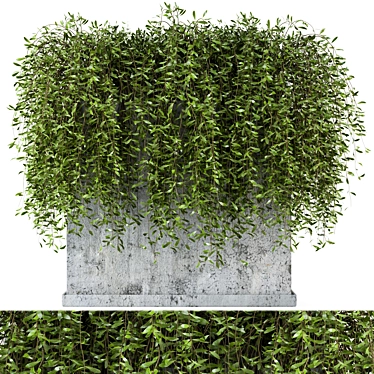 Rusty Concrete Pot Set: Outdoor Plants 3D model image 1 