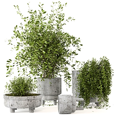  Rusty Concrete Pot Indoor Plant Set 3D model image 1 