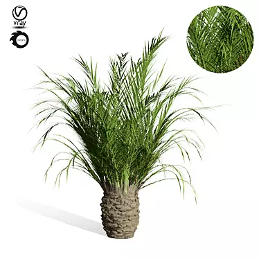 Tropical Paradise: Palm Tree 9s 3D model image 1 