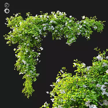 Hanging Greenery: Versatile and Detailed 3D model image 1 