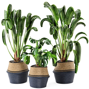 12-Piece Set: Indoor Plants in Wicker Pots 3D model image 1 