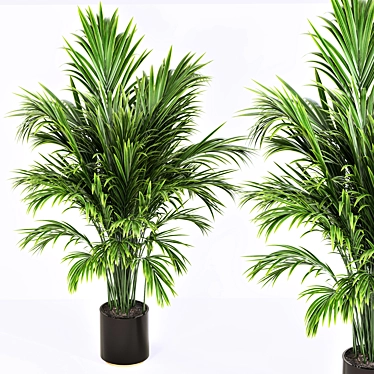Modern Indoor Plant 2015 3D model image 1 