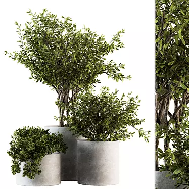 Outdoor Greenery in Concrete Pot - Set 141 3D model image 1 