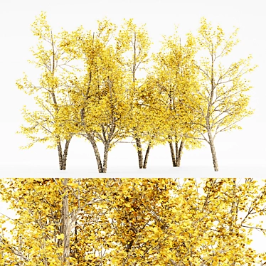 Bountiful River Birch Trees 3D model image 1 