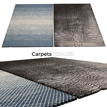 Interior Carpets 3D model image 1 