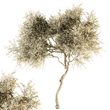 Leafy Tree Dried Set - 30 3D model image 1 