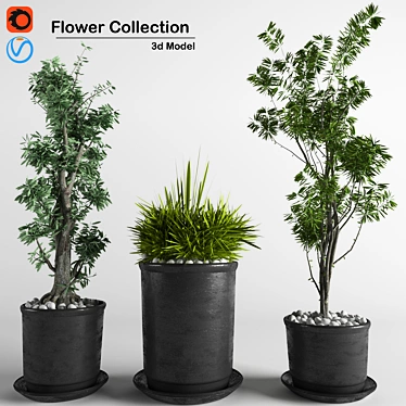 3D Indoor Plant Collection: High-Quality, FBX Compatible 3D model image 1 