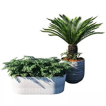 Tropical Charm Tree Pot 3D model image 1 