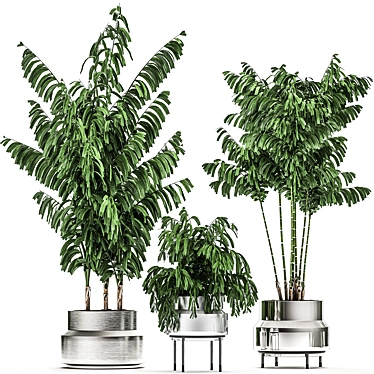 Tropical Chrome Plant Collection 3D model image 1 