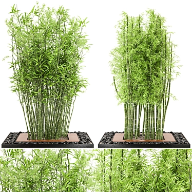 Bamboo Garden Set: Outdoor Plants 3D model image 1 